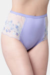 Erotissch High Rise Three-Fourth Coverage Hipster Panty - Blue — thumbnail 3