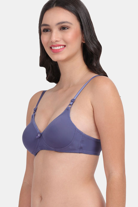 Amour Secret Padded Non Wired 3/4th Coverage T-Shirt Bra - Blue — image 3