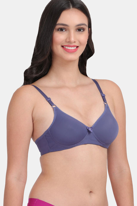 Amour Secret Padded Non Wired 3/4th Coverage T-Shirt Bra - Blue — image 5