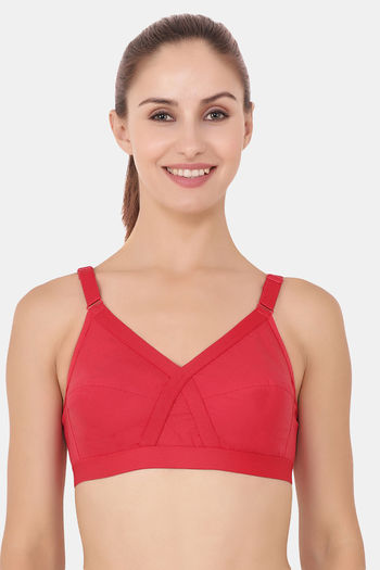 Buy Floret Wirefree Natural Lift Push-Up Bra - Magenta at Rs.599