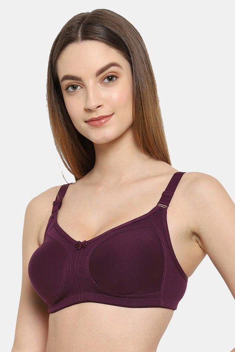 Floret Double Layered Non Wired Full Coverage Minimiser Bra - Wine — image 4