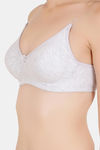 Floret Double Layered  Non Wired 3/4Th Coverage T-Shirt Bra - Maroon Cool Grey — thumbnail 5