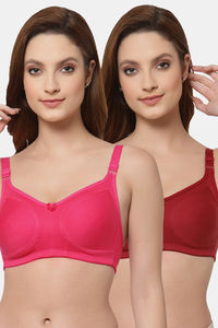 Magenta Merlot
