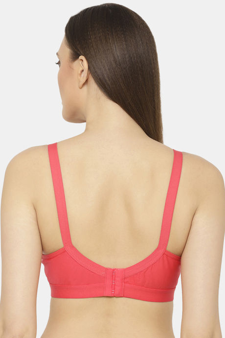 Floret Double Layered  Non Wired Full Coverage Super Support Bra - Black Tomato — image 4