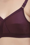 Floret Double Layered  Non Wired Full Coverage Super Support Bra - Pink Wine — thumbnail 13