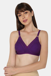 Magic Purple