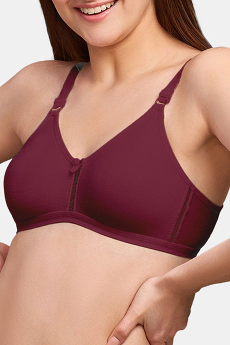 Naidu Hall Double Layered Non Wired Full Coverage T-Shirt Bra - Wine — image 4