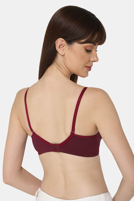 Intimacy Padded Non Wired Medium Coverage T-Shirt Bra - Wine — image 4