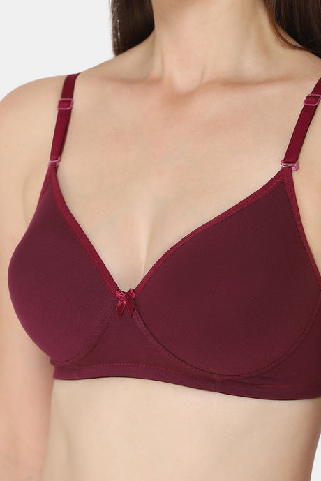 Intimacy Padded Non Wired Medium Coverage T-Shirt Bra - Wine — image 6