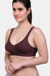 Maroon Clothing Double Layered Non-Wired Full Coverage T-Shirt Bra (Pack Of 3) - Multicolor — thumbnail 3