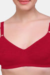 Maroon Clothing Double Layered Non-Wired Full Coverage Lace Bra (Pack Of 3) - Multicolor — thumbnail 13