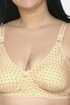 Maroon Clothing Double Layered Non Wired Full Coverage Super Support Bra (Pack of 2) - Multicolor — thumbnail 8