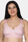 Maroon Clothing Double Layered Non Wired Full Coverage Super Support Bra (Pack of 3) - Multicolor — thumbnail 6