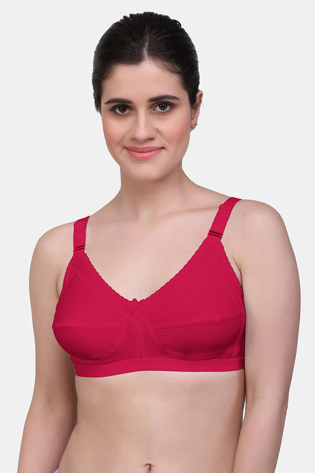 Maroon Clothing Single Layered Non Wired Full Coverage Minimiser Bra (Pack of 2) - Multicolor — image 2