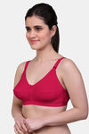Maroon Clothing Single Layered Non Wired Full Coverage Minimiser Bra (Pack of 2) - Multicolor — thumbnail 3