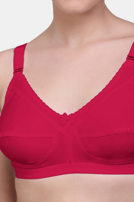 Maroon Clothing Single Layered Non Wired Full Coverage Minimiser Bra (Pack of 2) - Multicolor — image 5