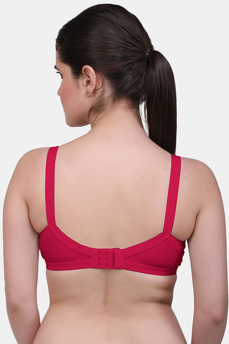 Maroon Clothing Single Layered Non Wired Full Coverage Minimiser Bra (Pack of 2) - Multicolor — image 8