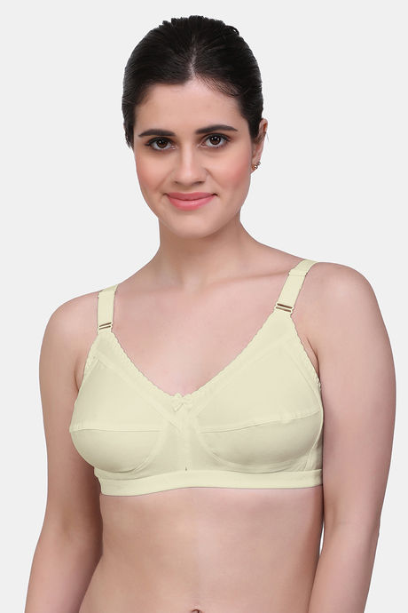 Maroon Clothing Single Layered Non Wired Full Coverage Minimiser Bra (Pack of 2) - Multicolor — image 2