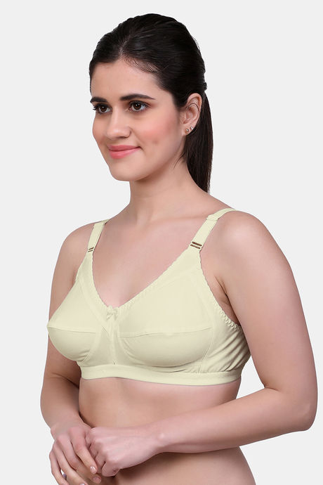 Maroon Clothing Single Layered Non Wired Full Coverage Minimiser Bra (Pack of 2) - Multicolor — image 3