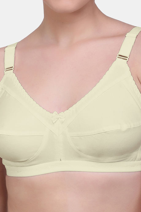 Maroon Clothing Single Layered Non Wired Full Coverage Minimiser Bra (Pack of 2) - Multicolor — image 5