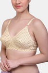 Maroon Clothing Single Layered Non Wired Full Coverage T-Shirt Bra (Pack of 2) - Multicolor — thumbnail 5