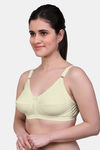 Maroon Clothing Single Layered Non Wired Full Coverage Minimiser Bra (Pack of 3) - Multicolor — thumbnail 7