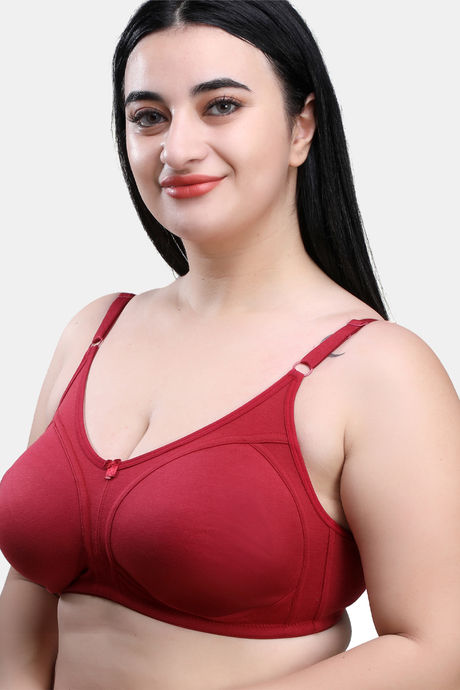 Maroon Clothing Double Layered Non Wired Full Coverage T-Shirt Bra - Maroon — image 3