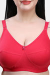 Maroon Clothing Double Layered Non Wired Full Coverage Super Support Bra - Red — thumbnail 4