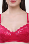 Maroon Clothing Double Layered Non Wired Medium Coverage Lace Bra - Red — thumbnail 4