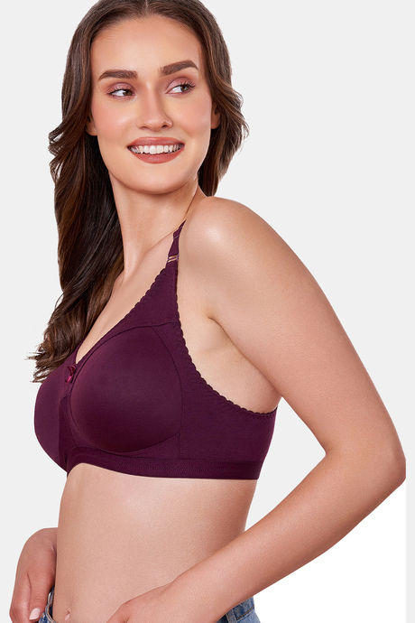 Maroon Clothing Lightly Lined Non Wired Full Coverage T-Shirt Bra - Wine — image 2