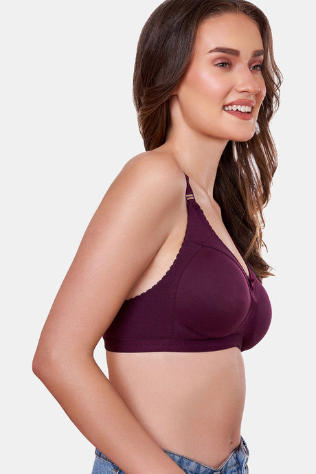 Maroon Clothing Lightly Lined Non Wired Full Coverage T-Shirt Bra - Wine — image 3
