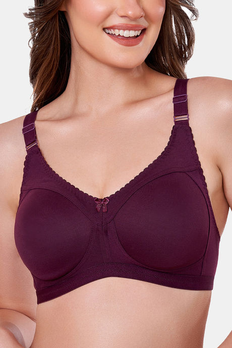 Maroon Clothing Lightly Lined Non Wired Full Coverage T-Shirt Bra - Wine — image 5