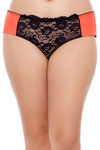 Zivame Ultra Soft Sheer Printed Lace Hipster Brief (Pack of 3)- Multicolor — thumbnail 6