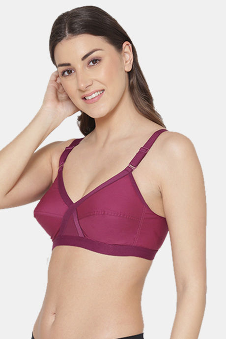 Komli Single Layered Non-Wired Full Coverage Minimiser Bra - Magenta — image 4