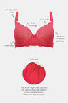 InnerSense Organic Cotton Antimicrobial Women's Padded Underwired Lace Bra - Pink — thumbnail 6
