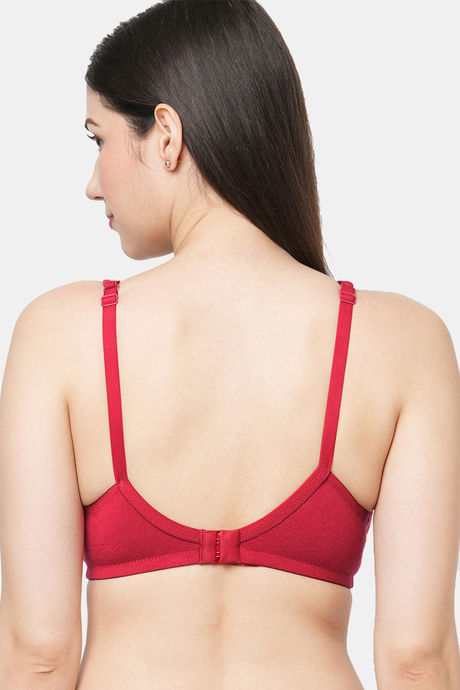InnerSense Double Layered Non Wired Full Coverage T-Shirt Bra (Pack of 2) - Multicolor — image 5