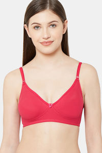 Rani Pink