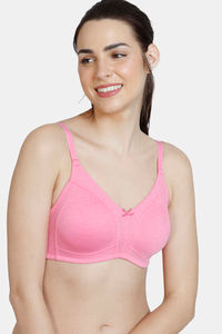 Pink Cosmos