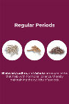 &Me PCOS Tea-Kashmiri Kahwa (1 box) - Blue — thumbnail 7