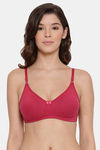 Lyra Single Layered Non-Wired 3/4Th Coverage T-Shirt Bra (Pack of 2) - Multicolor — thumbnail 6