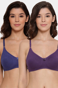 Royalblue Violet