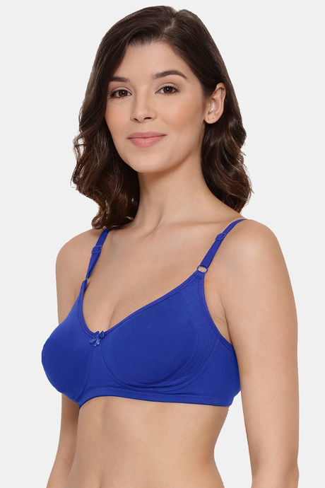 Lyra Single Layered Non-Wired 3/4Th Coverage T-Shirt Bra (Pack of 2) - Multicolor — image 2