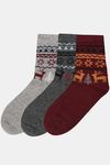 Womens Woollen Regular Length Socks (Pack of 3) - Assorted — thumbnail 2