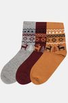Womens Woollen Regular Length Socks (Pack of 3) - Assorted — thumbnail 2