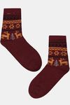 Womens Woollen Regular Length Socks (Pack of 3) - Assorted — thumbnail 4