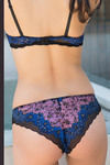 Zivame Dual Toned Lace Low Rise Bikini Panty-Blue Black — thumbnail 2