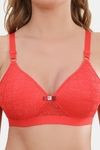 Prettycat Lightly Padded Non-Wire Lace T-Shirt Bra - Red — thumbnail 6