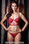 Zivame On The Edge Of Love Bikini Brief — thumbnail 3