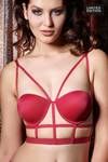 Zivame On The Edge Of Celebration Padded Wired Bra — thumbnail 1