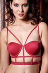 Zivame On The Edge Of Celebration Padded Wired Bra — thumbnail 4